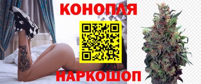 гашик Малоярославец